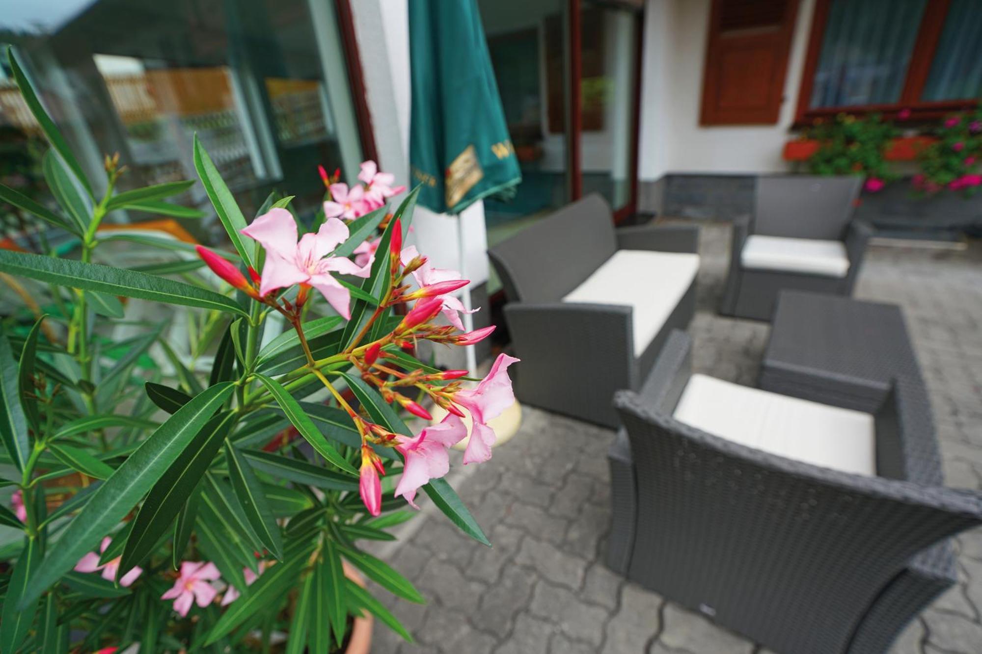 Landhotel Gasthof Zwota كلينغنتال المظهر الخارجي الصورة